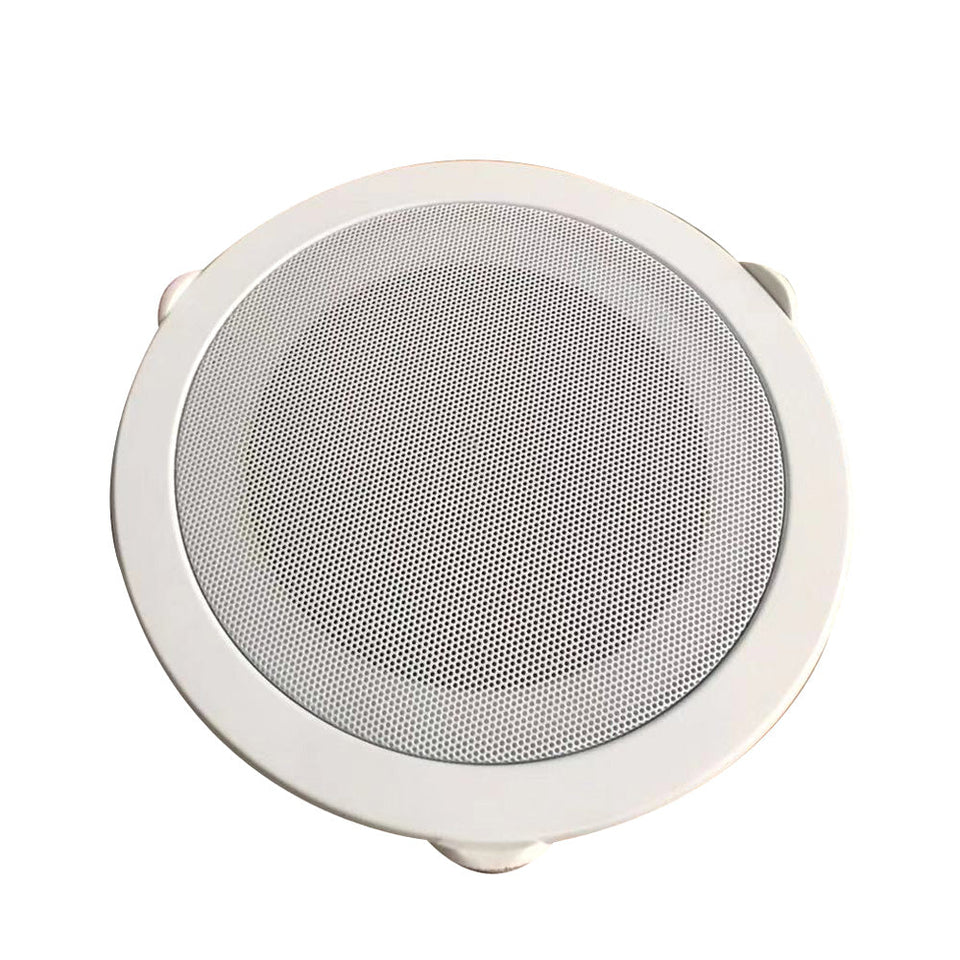 605A Stereo Ceiling Speaker crny