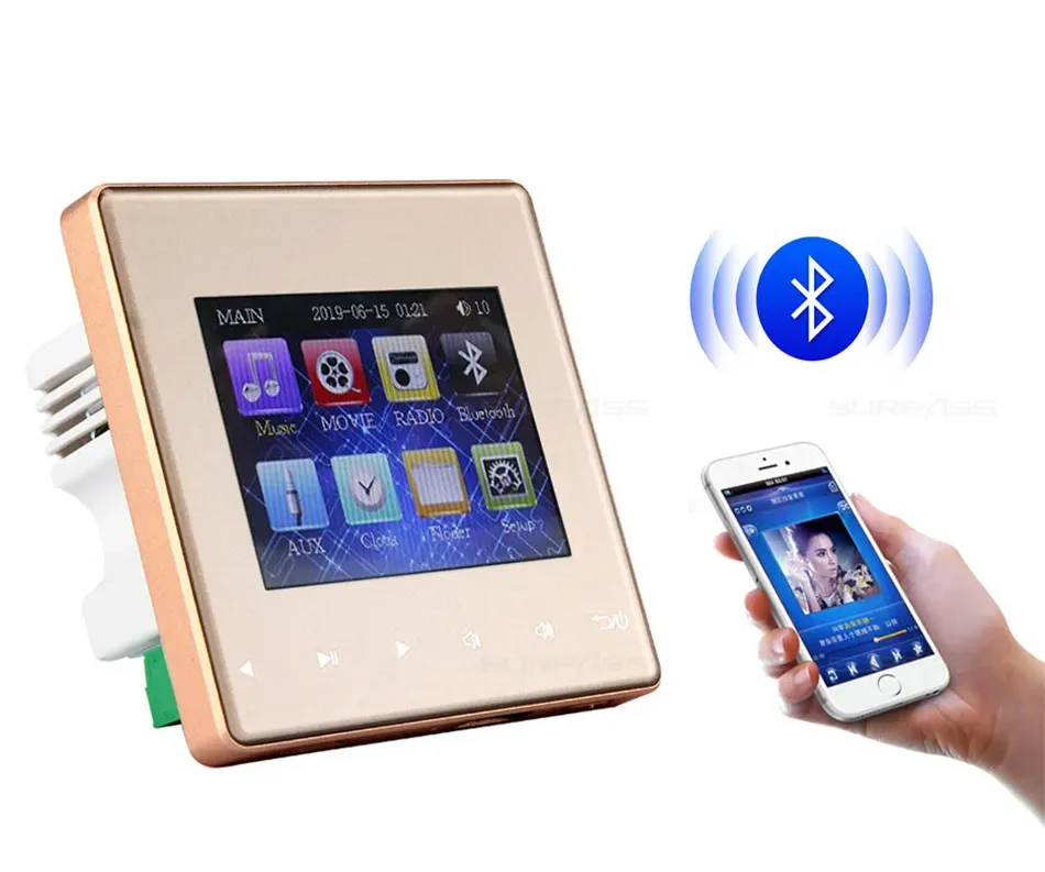 Smart Mini Bluetooth Wall Amplifier Home Theater Sound System with Stereo Ceiling Speaker Background Music for Hotel Restaurant