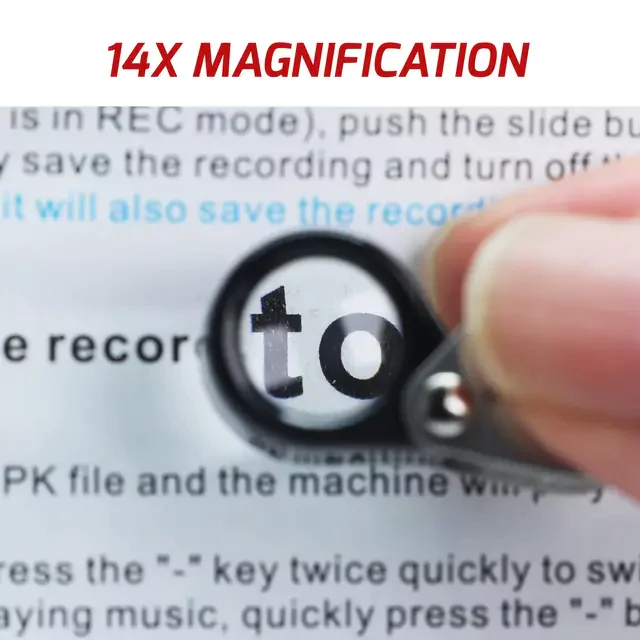 1000198533-65c8c66254ac3