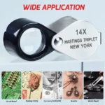 1000198534-65c8c6626b85a