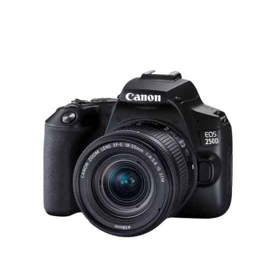 Canon EOS 250D DSLR Camera With EFS 18-55 DC III Lens Kit